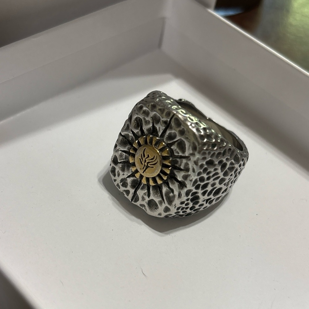 Textured Silver and Gold Men's Pheonix Ring